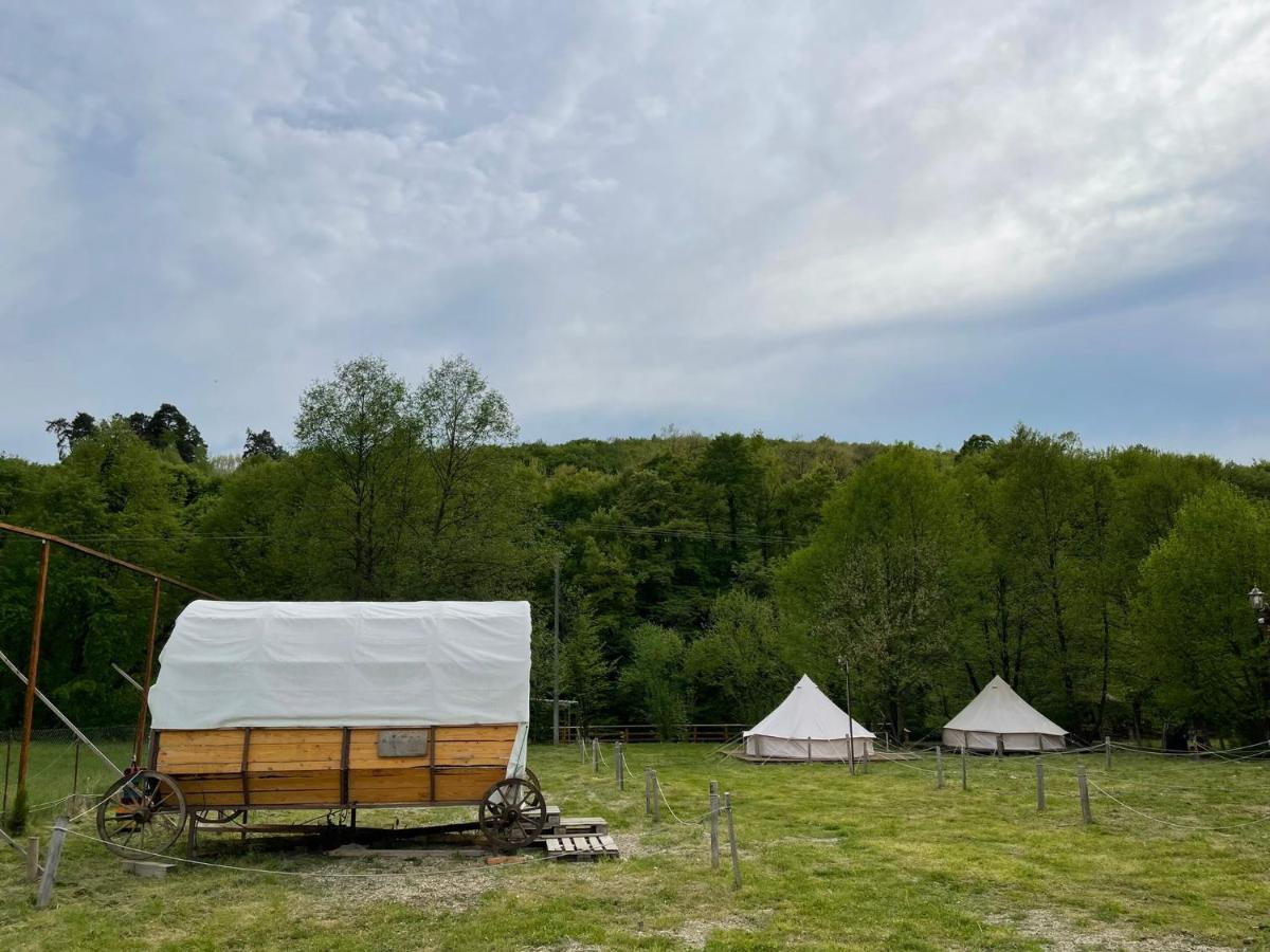 Campingul Apusenilor Hotel Suncuius Exterior photo