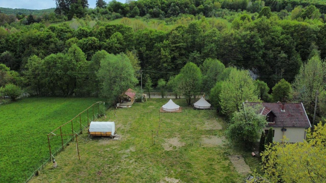 Campingul Apusenilor Hotel Suncuius Exterior photo